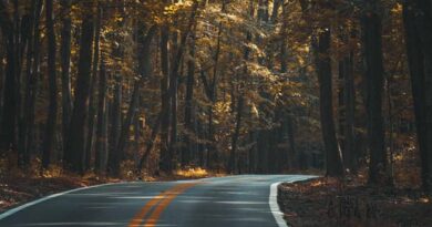 Benefits of Hiring Nashville Asphalt Experts