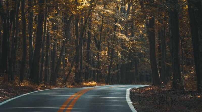 Benefits of Hiring Nashville Asphalt Experts